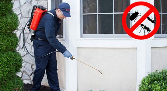 Kumlu Bit İlaçlama böcek ilaçlama ve haşere kontrolü — ilaclama-tr.com